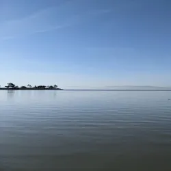 San Leandro Shoreline Park - San Leandro