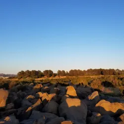 San Leandro Shoreline Park - San Leandro