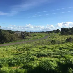 San Leandro Shoreline Park - San Leandro