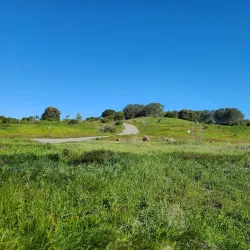 San Leandro Shoreline Park - San Leandro