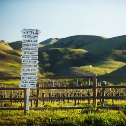Edna Valley Vineyard - San Luis Obispo