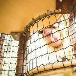 San Luis Obispo Children's Museum - San Luis Obispo