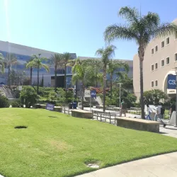 California State University San Marcos (CSUSM) - San Marcos