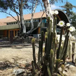 California State University San Marcos (CSUSM) - San Marcos