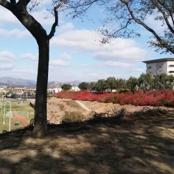 California State University San Marcos (CSUSM) - San Marcos