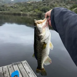 Discovery Lake Park - San Marcos