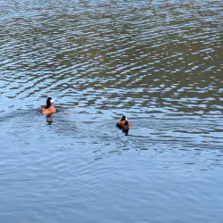 Discovery Lake Park - San Marcos