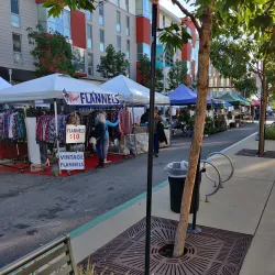 San Marcos Farmers Market - San Marcos