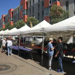 San Marcos Farmers Market - San Marcos