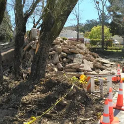 Albert Park - San Rafael