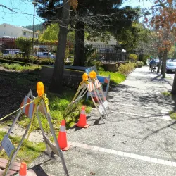 Albert Park - San Rafael