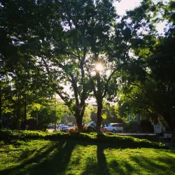 Albert Park - San Rafael