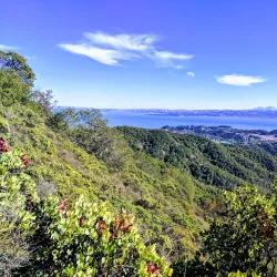 China Camp State Park - San Rafael