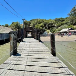 China Camp Village - San Rafael