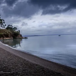 China Camp Village - San Rafael