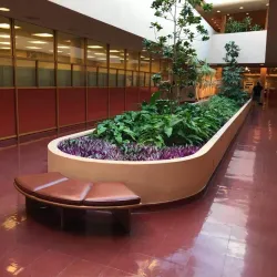 Marin County Civic Center - San Rafael