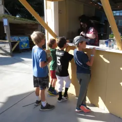 San Rafael Pacifics Baseball - San Rafael