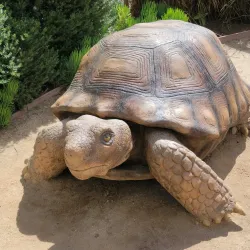 Santa Ana Zoo - Santa Ana