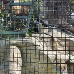 Santa Ana Zoo - Santa Ana