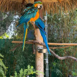 Santa Ana Zoo - Santa Ana