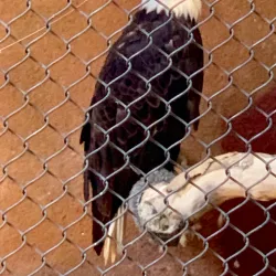 Santa Ana Zoo - Santa Ana