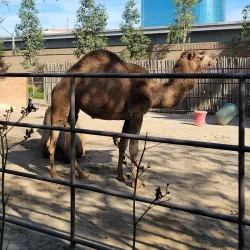 Santa Ana Zoo - Santa Ana