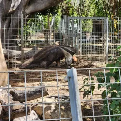 Santa Ana Zoo - Santa Ana