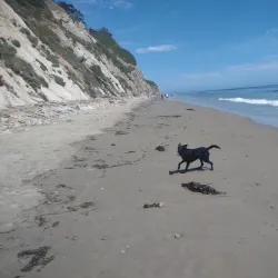 Arroyo Burro Beach (Hendry's Beach) - Santa Barbara