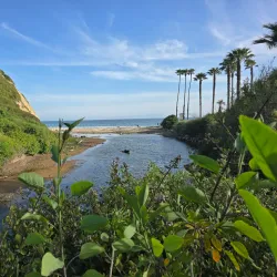 Arroyo Burro Beach (Hendry's Beach) - Santa Barbara
