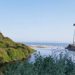 Arroyo Burro Beach (Hendry's Beach) - Santa Barbara