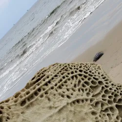 Butterfly Beach - Santa Barbara