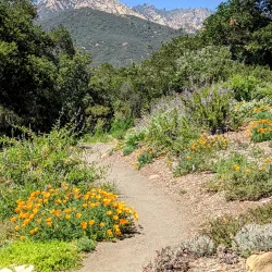 Santa Barbara Botanic Garden - Santa Barbara