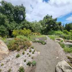 Santa Barbara Botanic Garden - Santa Barbara