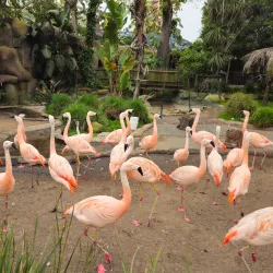 Santa Barbara Zoo - Santa Barbara