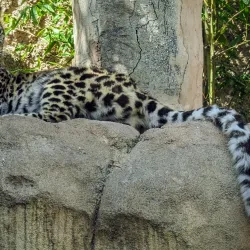 Santa Barbara Zoo - Santa Barbara