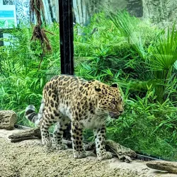 Santa Barbara Zoo - Santa Barbara