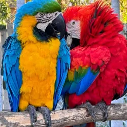 Santa Barbara Zoo - Santa Barbara