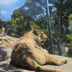 Santa Barbara Zoo - Santa Barbara