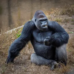 Santa Barbara Zoo - Santa Barbara