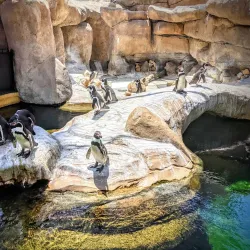 Santa Barbara Zoo - Santa Barbara