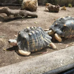 Santa Barbara Zoo - Santa Barbara