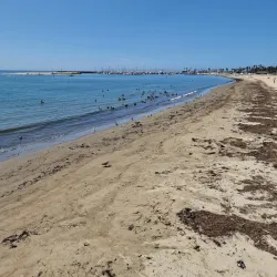 Stearns Wharf - Santa Barbara