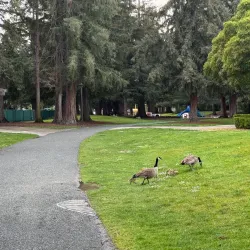 Central Park - Santa Clara