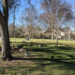 Central Park - Santa Clara