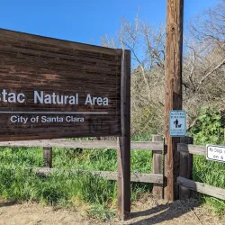 Ulistac Natural Area - Santa Clara