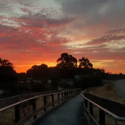 Ulistac Natural Area - Santa Clara