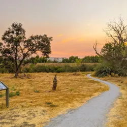 Ulistac Natural Area - Santa Clara