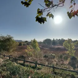 Ulistac Natural Area - Santa Clara