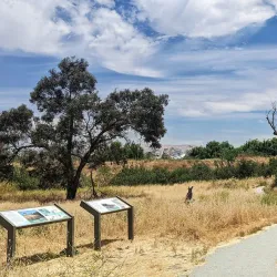 Ulistac Natural Area - Santa Clara