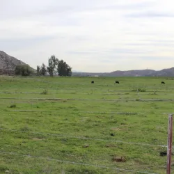 Newhall Ranch House - Santa Clarita